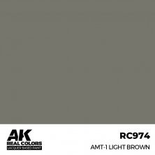 Amt-1 light brown (RC313)