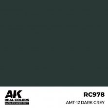 Amt-12 dark grey (RC318)