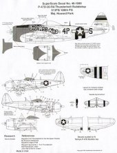 1/48 Republic P-47D Thunderbolt, 513FS/406FG