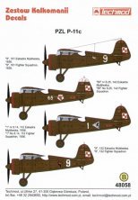 1/48 Pzl P.11C Part 2