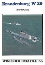 Hansa-Brandenburg W.29