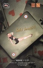 1/48 d! Dassault Mirage F.1CT Operation Allied Force, Kosovo