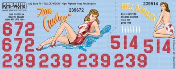 1/32 Northrop P-61B Black Widow 416 NFS, 422nd NFS