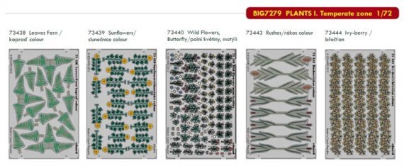 1/72 PLANTS I. Temperate zone