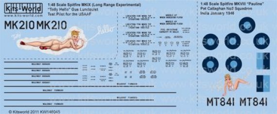 1/48 Supermarine Spitfire Mk.VIII/IXc