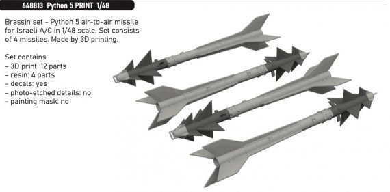 Brassin 1/48 Python 5