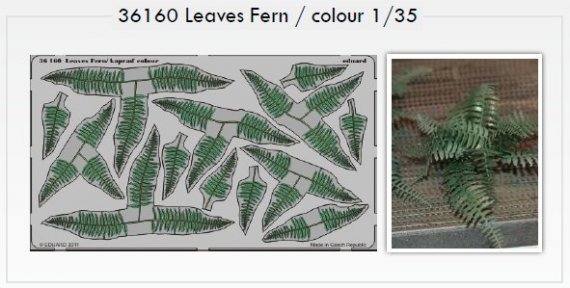1/35 Leaves Fern / colour