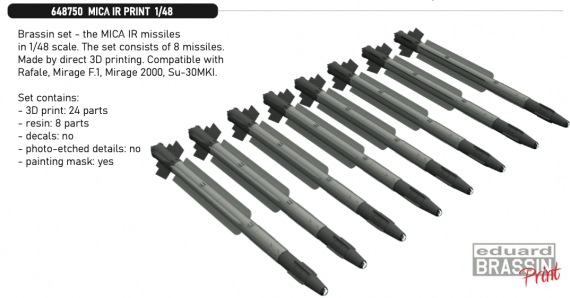 Brassin 1/48 MICA IR PRINT