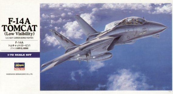 Hasegawa Grumman F-14A Tomcat Low Visibility 1/72