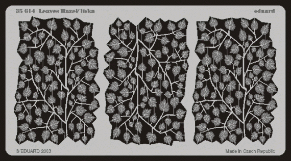 Leaves Hazel / Liska