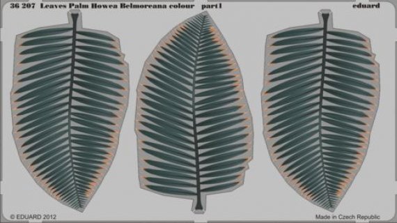 1/35 Leaves Palm Howea Belmoreana colour