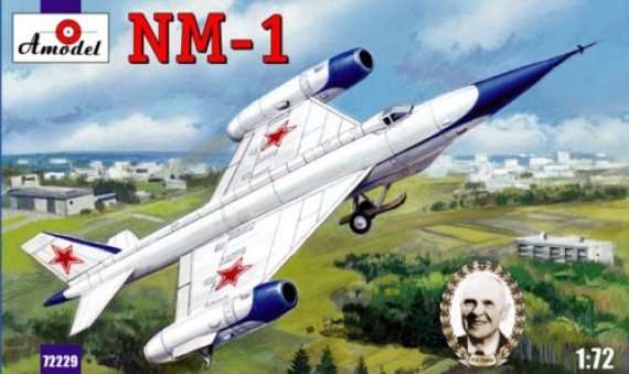 1/72 Tsybin NM-1