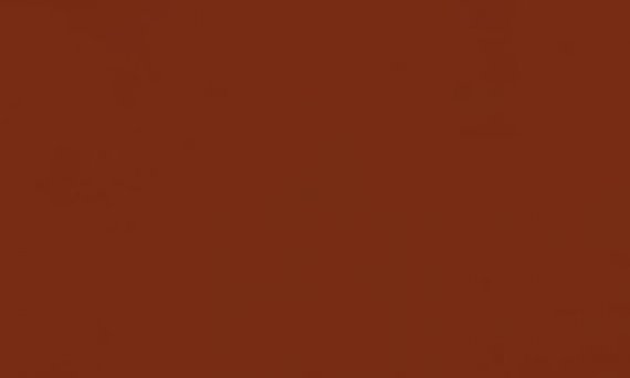 H463 red brown / Rouge brun cuivr (F)