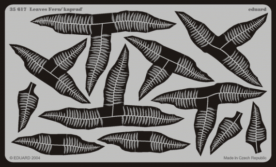 Leaves Fern / Kaprad