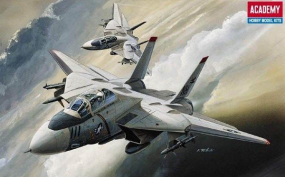 1/144 Grumman F-14A Tomcat