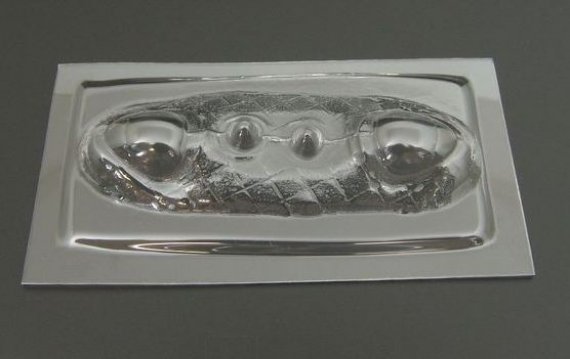 1/144 Vacu canopies CANBERRA  3 types (A-MODEL)