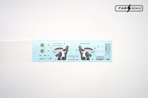 1/48 F-16CJ 2022 Pacific Demo Wild Weasel Special Tail scheme