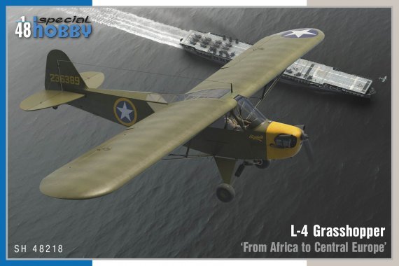 1/48 L-4 Grasshopper From Africa to Central Europe