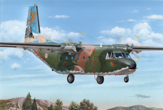 1/72 CASA C-212-100 Tail Art