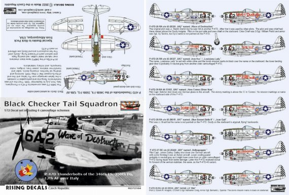 1/72 Decal Black Checker Tail Sqdr.
