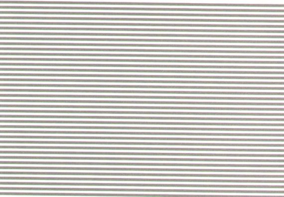 Microscale Strisce Parallele Argento 1/16 pollice