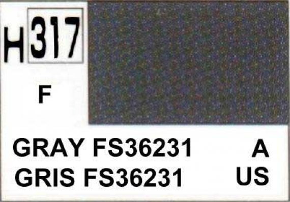 H317 Gray  Gris FS36231