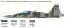 1/48 Northrop F-5E Tiger II image 1