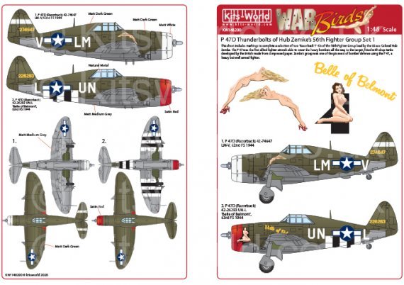 1/48 Republic P-47D Thunderbolts razorbacks