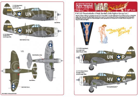 1/48 Republic P-47 Thunderbolts razorbacks
