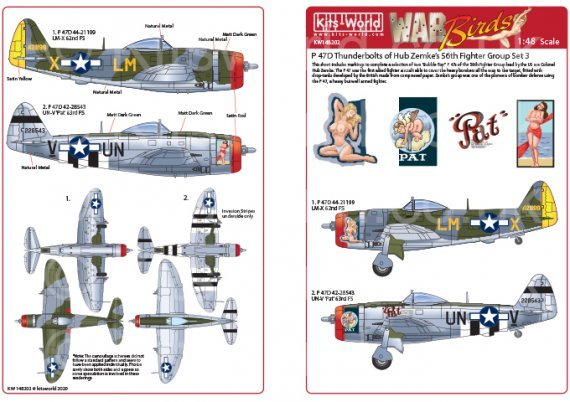 1/48 Republic P-47 Thunderbolts razorbacks