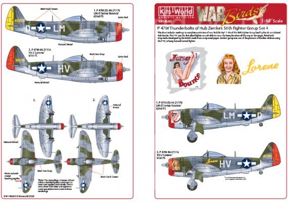 1/48 Republic P-47M Thunderbolts razorbacks