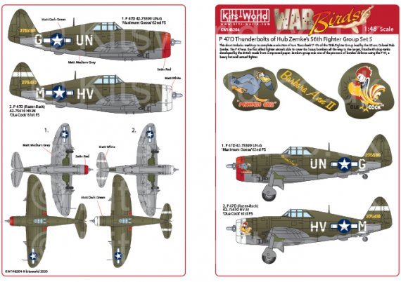 1/48 Republic P-47D Thunderbolts razorbacks