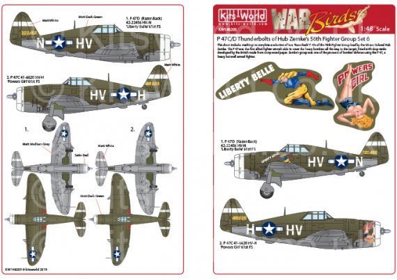 1/48 Republic P-47 Thunderbolts razorbacks