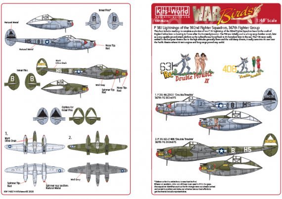1/48 Lockheed P-38J Lightning 44-23511, 42-67408 Double Trouble
