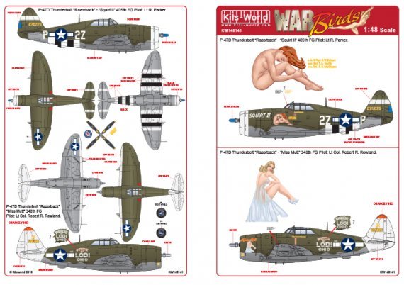 1/48 Republic P-47D Thunderbolt Razorback 42-76275