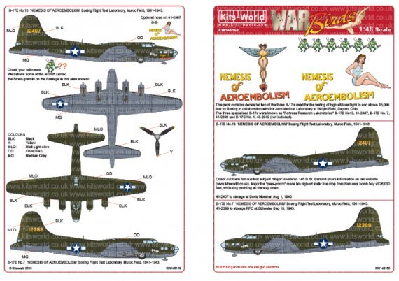 1/48 Boeing B-17E 41-2407 No.13 'NEMESIS OF AEROEMBOLISM'