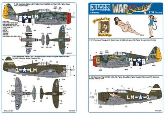 1/32 Scale Republic P-47D Razorback Stalag Luft III Button Nose