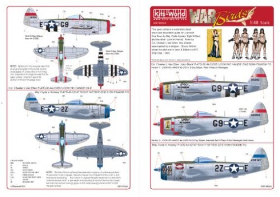 1/48 Republic P-47D Thunderbolt