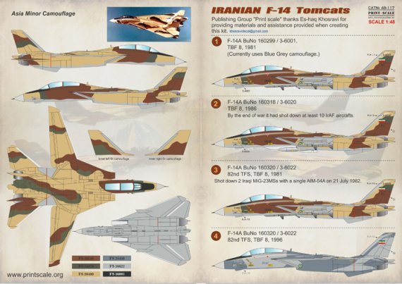 1/48 Iranian F-14 Tomcats