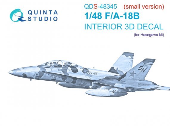 1/48 F/A-18B Small