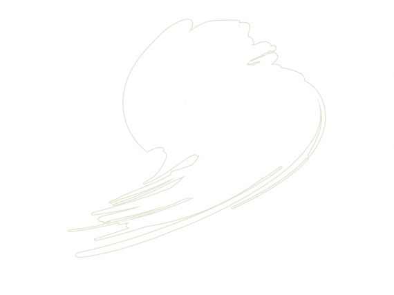 Hataka Hobby  Traffic White (RAL 9016)