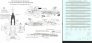 Microscale 1/48 F/A-18 Hornet Decalcomanie Walkways Grigio