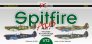 1/72 Spitfire Aces 10x camouflages Part V.