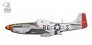 1/72 P-51D Mustang image 2