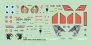 1/144 Decals F-16 im Dienst IL, EG, IQ, JO