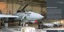 Grumman F-14 Tomcat image 6