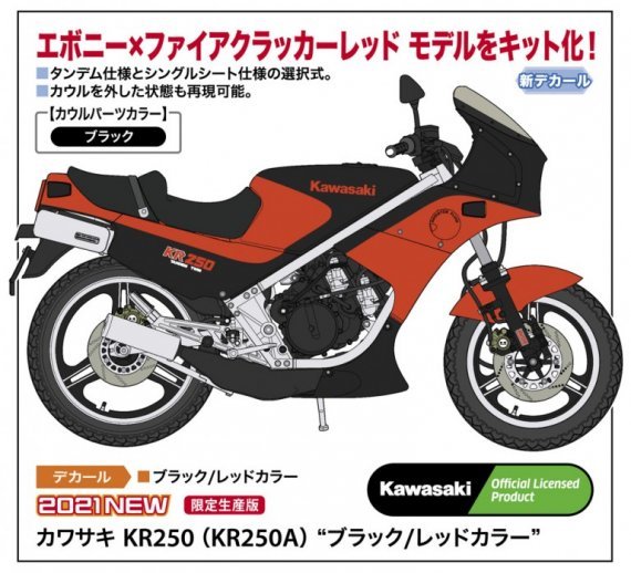 1/12 Kawasaki KR250 Black/Red