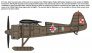 1/72 PZL P.11c Polish Fighter Rare Birds image 2
