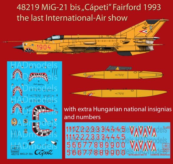 1/48 Decal MiG-21bis 1993 Last Flight