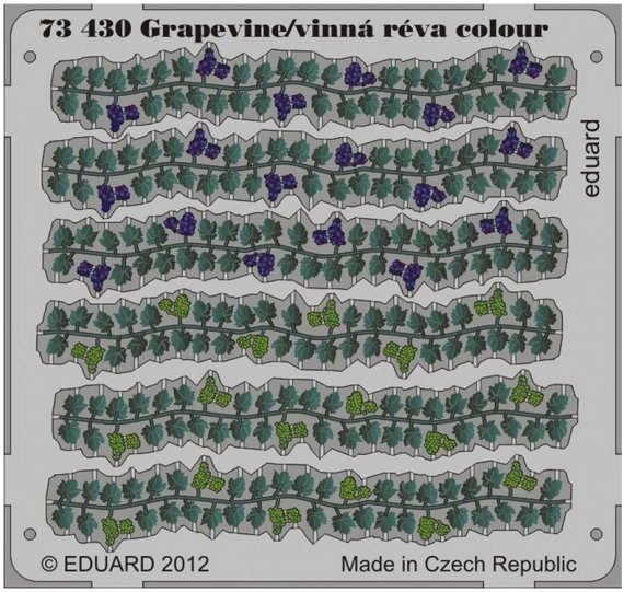 1/72 Grapevine colour